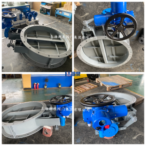 QT450電動蝶閥執行器QDX3-5帶減速渦輪